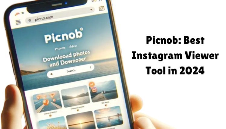 Picnob: Best Instagram Viewer Tool in 2024