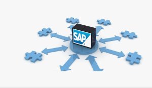 Marketing Your SAP Skills for a Career Change