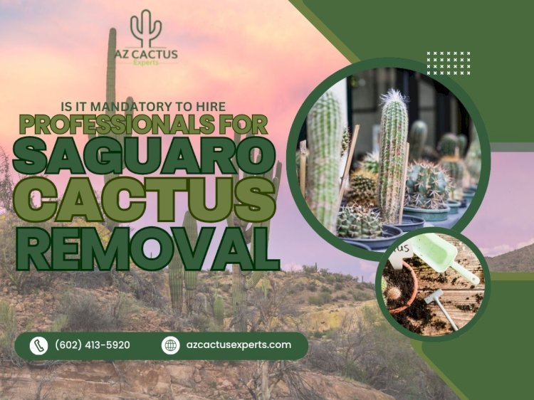 Is It Mandatory To Hire Professionals For Saguaro Cactus Removal?