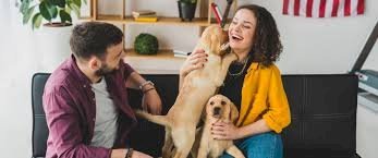 The Mental Health Benefits of Having Animals at Home: A Companion for Emotional Well-Being