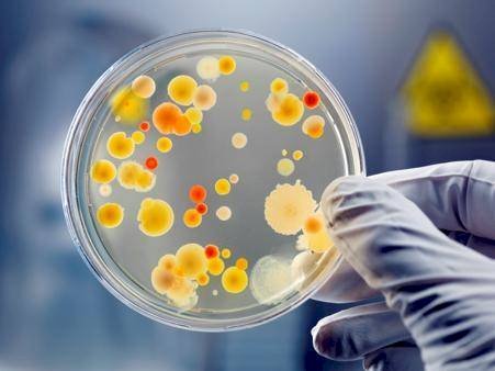 Sample Requirements For Microbial Sequencing