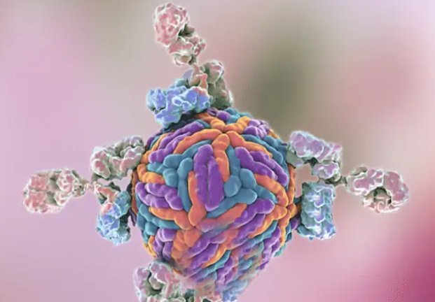 Precision Immunotherapy: The Power of BsAb in Revolutionizing Cancer Treatment