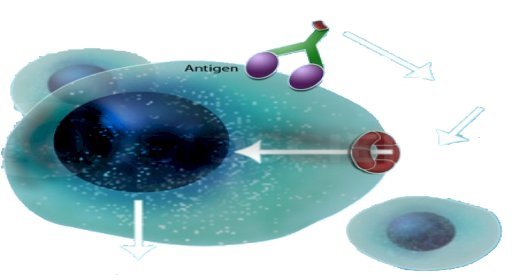 Webinar: EABR Nanoparticles as a Platform Technology for Hybrid mRNA Vaccine Development