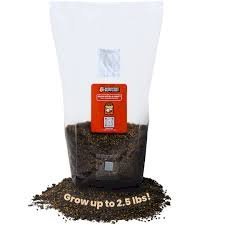 Discover the Benefits of Using All in One Mushroom Grow Bags