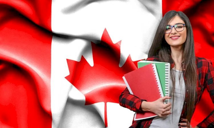 Immigration Lawyers in Toronto: Expert Guidance for Your Canadian Immigration Journey