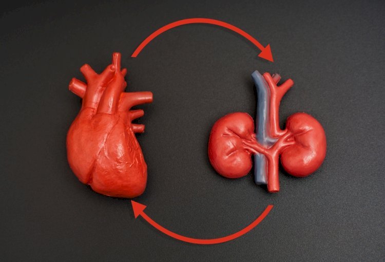 Managing Hypertension and CKD: A Delicate Balance 