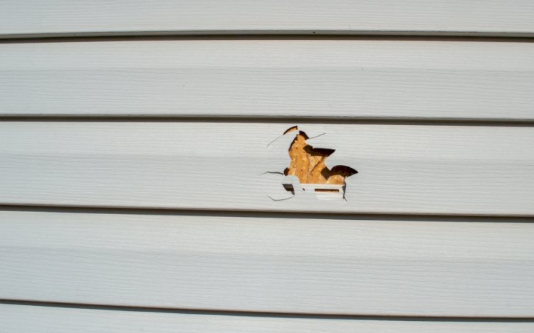 Top Signs Your Calgary Home Needs Siding Repair