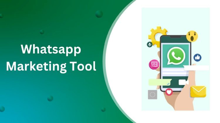 Complete Guide to Using Salestown’s WhatsApp Marketing Tool