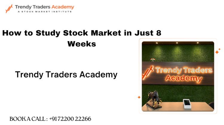 How to Study Stock Market in Just 8 Weeks