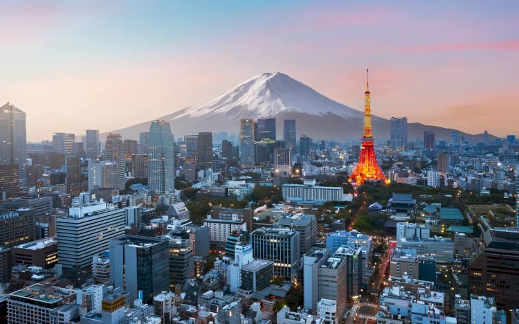 Discover Tokyo's Hidden Gems: Experience Japan like a Local