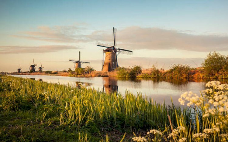 10 Enchanting Magical Gems to Discover in the Netherlands