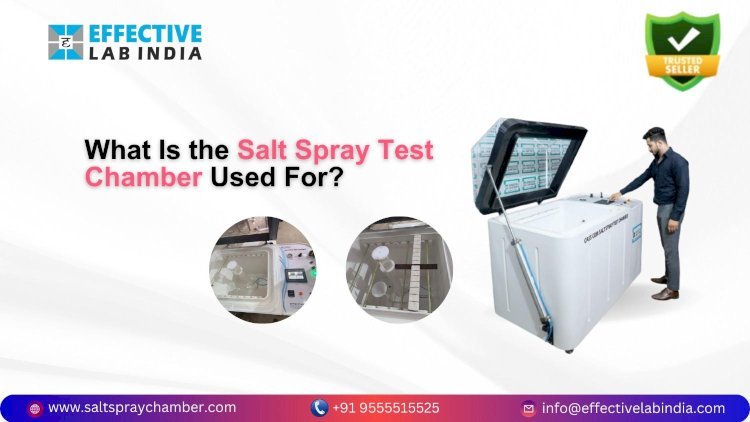 What Is the Salt Spray Test Chamber Used For?