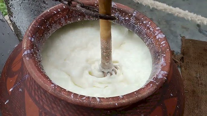 Traditional Bilona Method: Crafting the Purest A2 Ghee