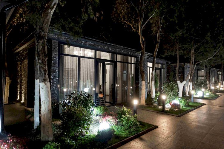 Best Smart Outdoor Lighting: A Guide to Energy-Efficient and Stylish Light 