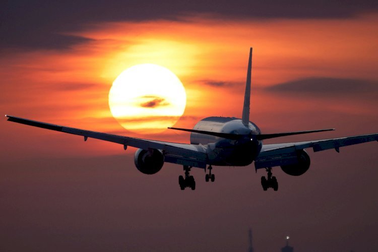 Avelo Airlines SJU Terminal +1-888-839-0502