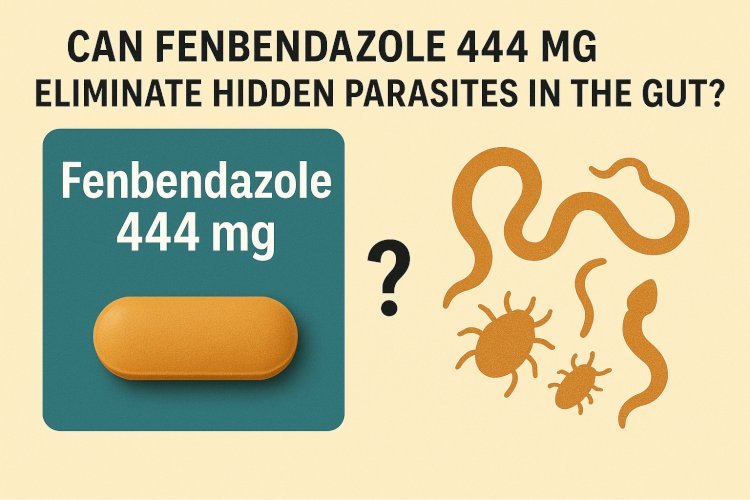 Can Fenbendazole 444 mg Eliminate Hidden Parasites in the Gut?