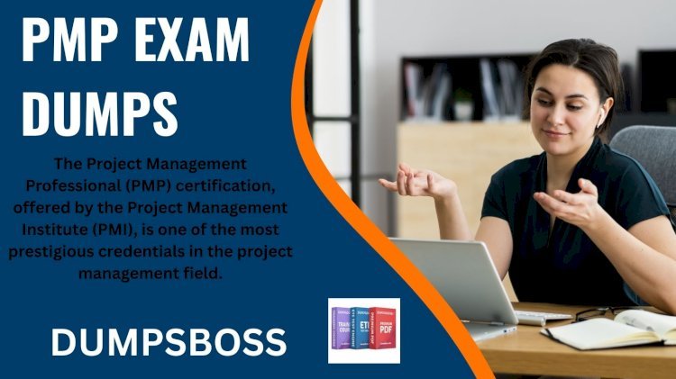 What Are the Best PMP Exam Dumps to Boost Your Score?