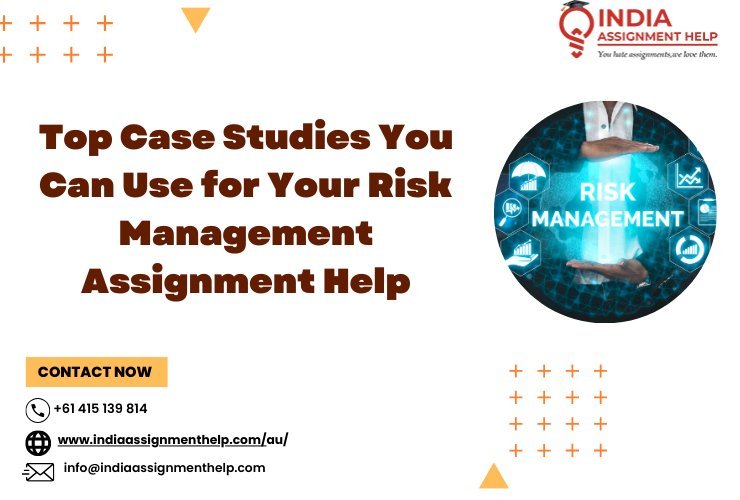 Top Case Studies You Can Use for Your Risk Management Assignment Help