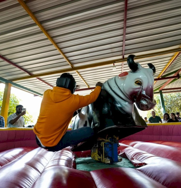 From Bird Songs to Bull Rides: Find Your Happy Place