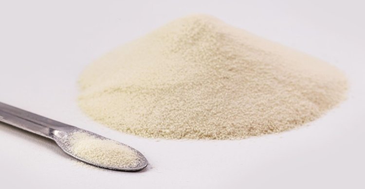Setting Up a Successful Gelatin Powder Manufacturing Plant Cost Report 2025: Business Plan