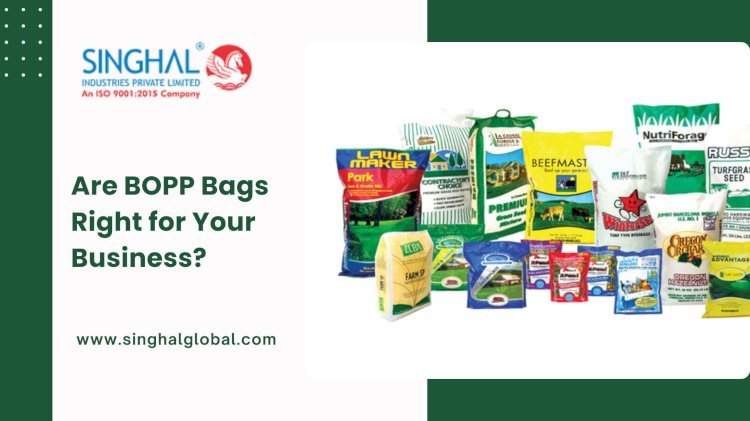 Are BOPP Bags Right for Your Business?