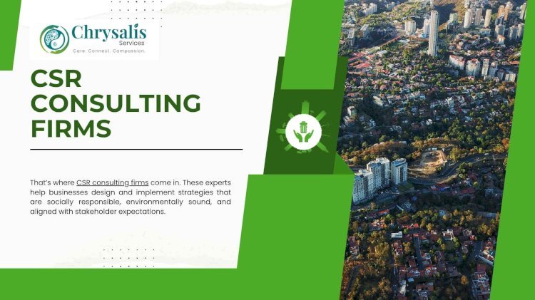 Understanding the Role of CSR Consulting Firms