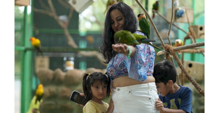 The Resort Where Every Age Finds Its Joy