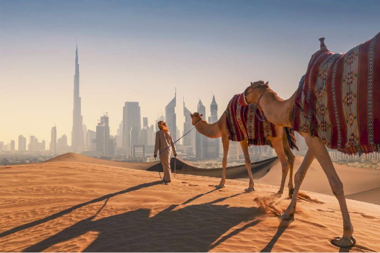 Explore the Best Desert Safari Activities in Dubai – Photos, Rides & Experiences