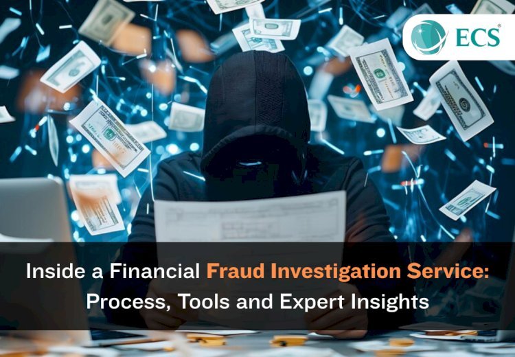Inside a Financial Fraud Investigation Service: Process, Tools, and Expert Insights