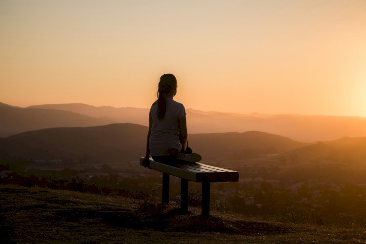 Ashwagandha Gummies vs. Capsules: Which Delivers Better Stress Relief for Busy Professionals?