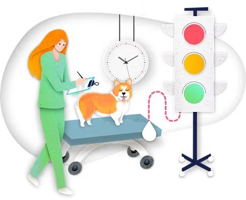 The Digital Tools Transforming How Veterinarians Work Today