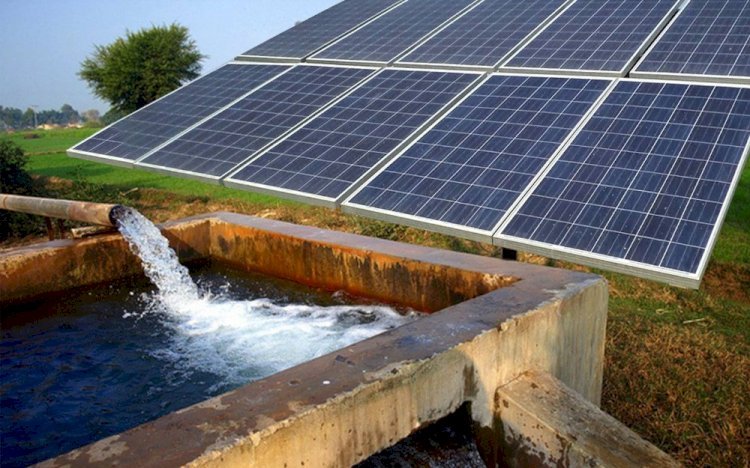 Why Farmers Prefer Solar Water Pumps Today