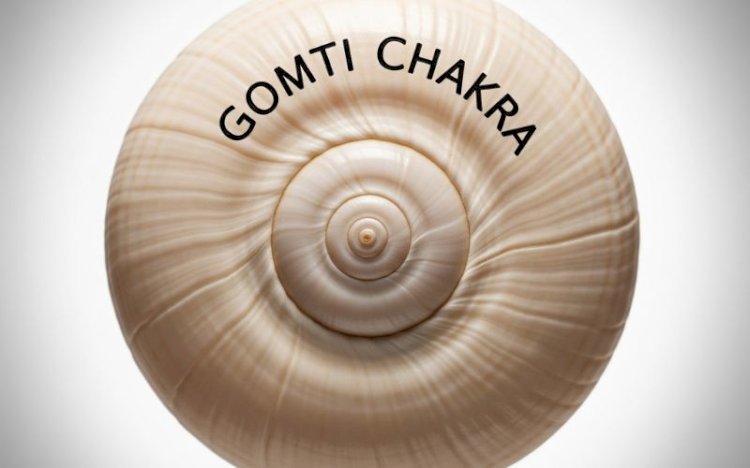 Gomti Chakra for Protection, Prosperity, and Peace