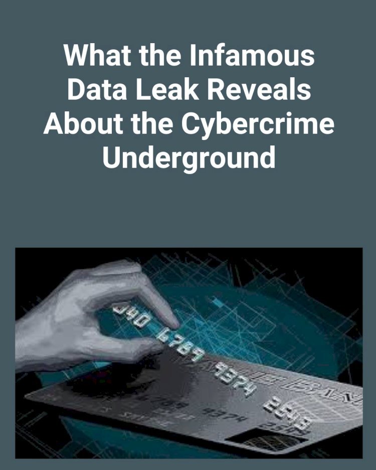Briansclub: What the Infamous Data Leak Reveals About the Cybercrime Underground