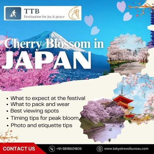 Best Japan Tours for Families – Safe, Fun & Full of Cultural Surprises