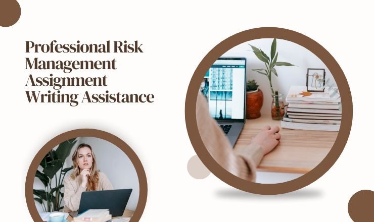 Professional Risk Management Assignment Writing Assistance