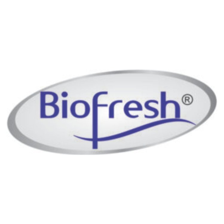 "Why Bio Fresh Incense is the Leading Incense Stick Manufacturer for Quality & Purity"