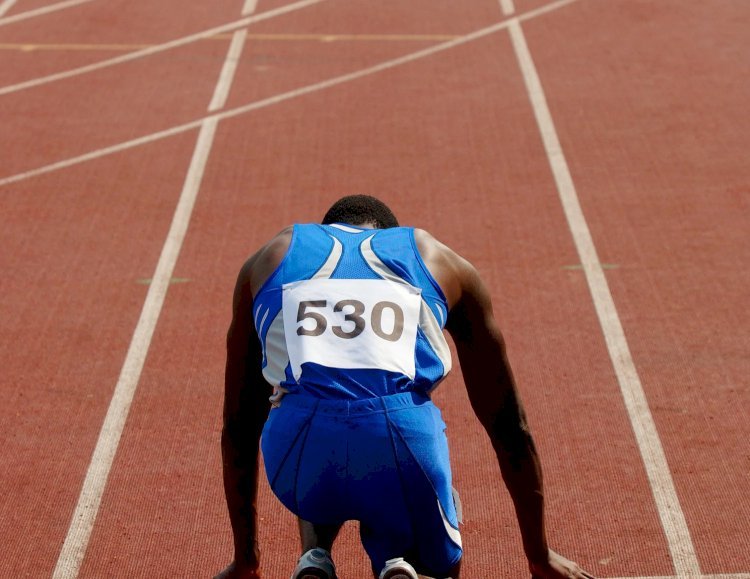 Probiotics for Enhancing Athletic Recovery: The Gut-Performance Connection