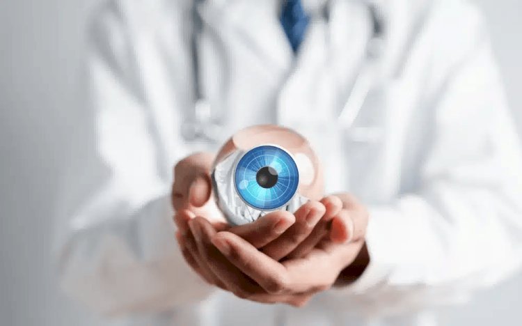 Discover the Best Eye Doctor in Punjab at Mitra Eye Hospital – Trusted Vision Experts