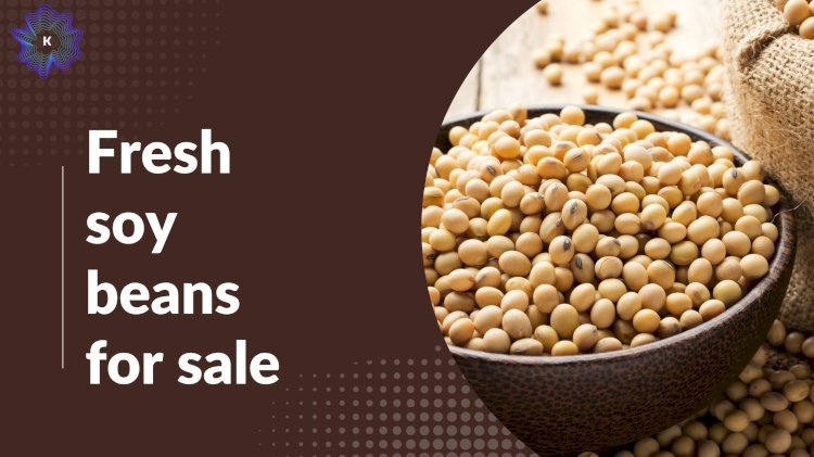 Best Coffee Beans from Australia – Rich, Smooth & Aromatic