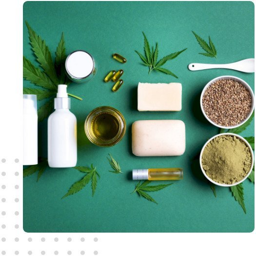 Partner with Wilson Drugs for the Best Ayurvedic PCD Pharma Franchise Opportunity
