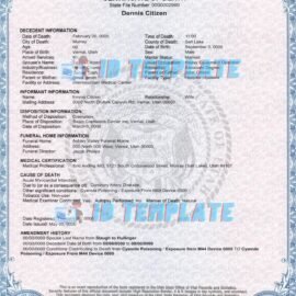 Free Drivers License Template & Blank Texas Birth Certificate