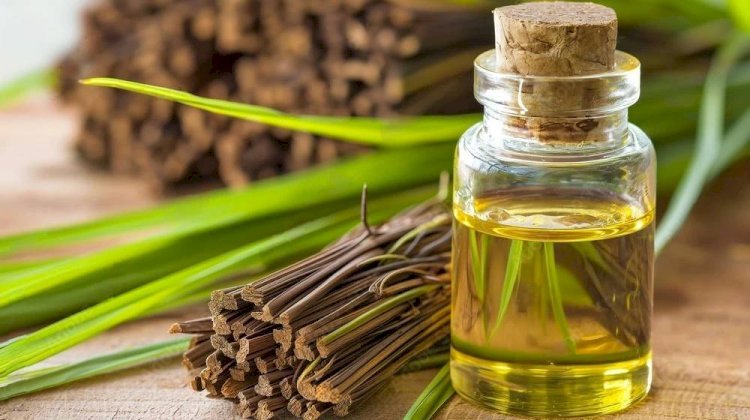 Essential Oil Bulk Suppliers: Choosing the Right Partner for Your Business
