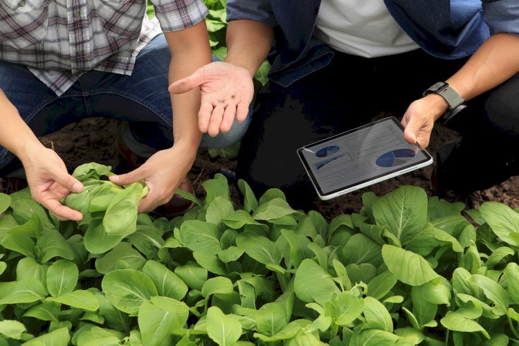 Boost Efficiency with TopGreen: The Power of Crew Performance Insights Software