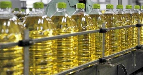 Cold Press Cooking Oil: A Healthier Choice for Your Kitchen