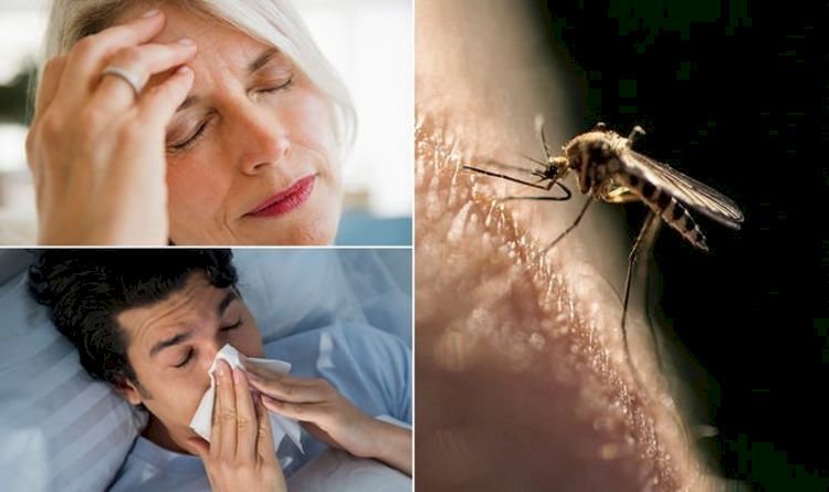Top 10 Most Common Malaria Symptoms You Should Never Ignore
