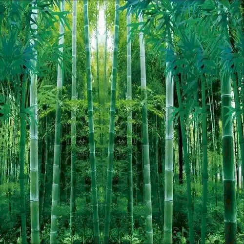 Top grade bamboo products manufacturer from China