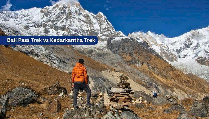 Bali Pass Trek vs Kedarkantha Trek