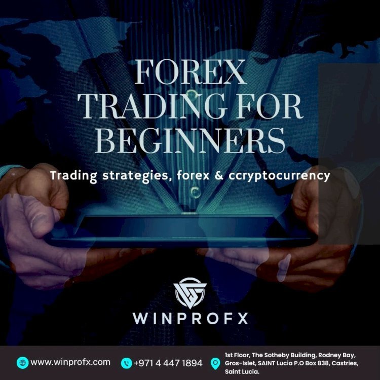 Forex Trading for Beginners: Stepwise Market Entry