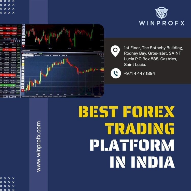 How the Best Forex Trading Platform in India Operates